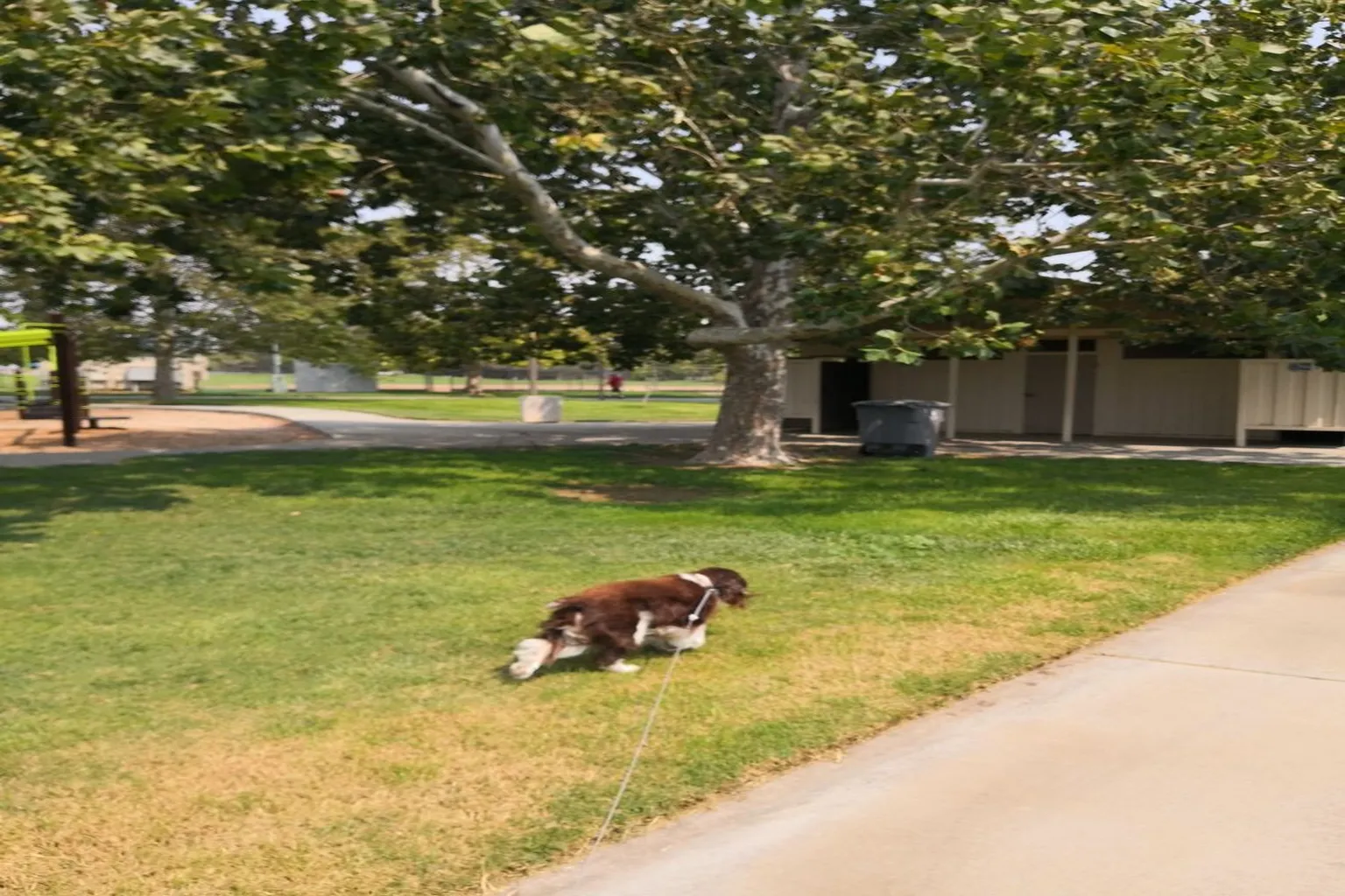 Hall Memorial Park in Dixon, California