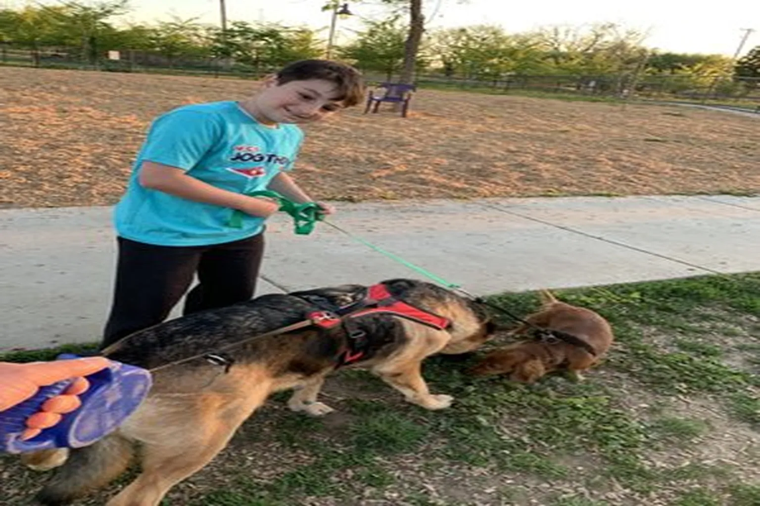 Woodland Dog Park in Woodland, California