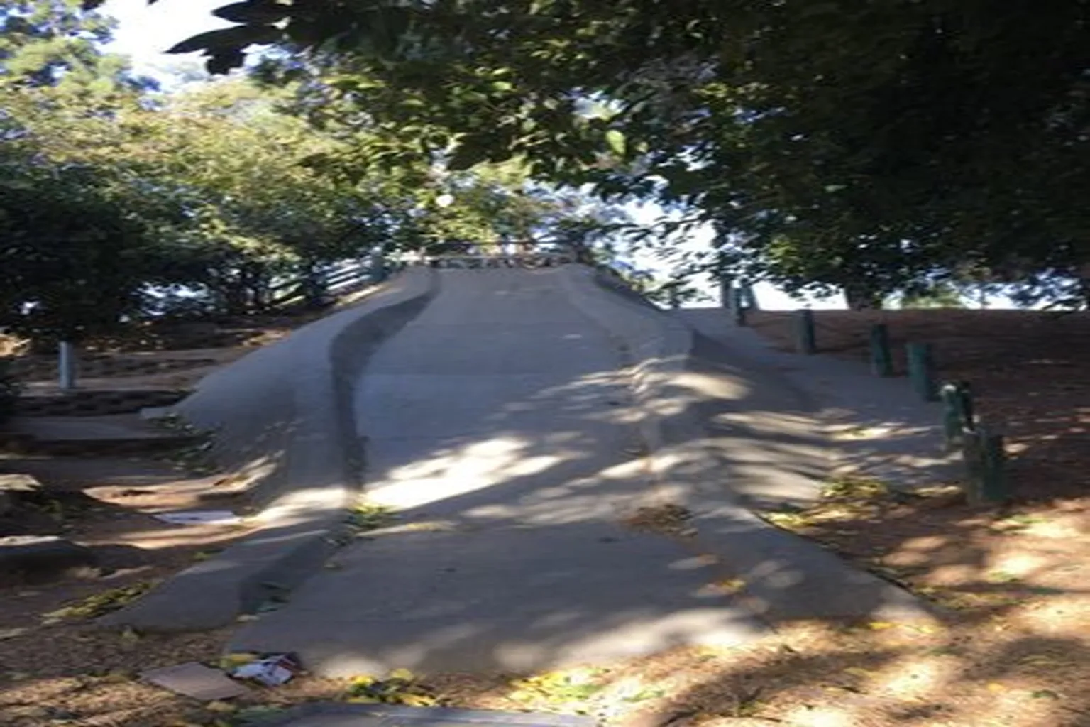 Slide Hill Park Off Leash Area in Davis, California