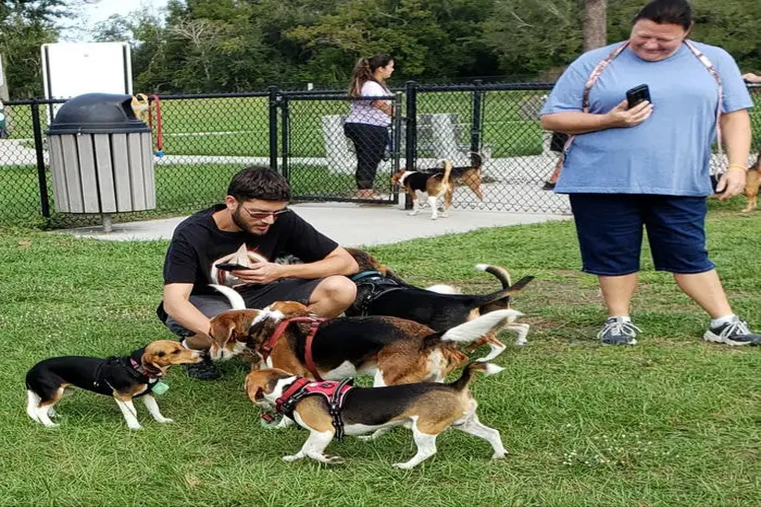 Dr. Phillips Dog Park in Orlando, Florida