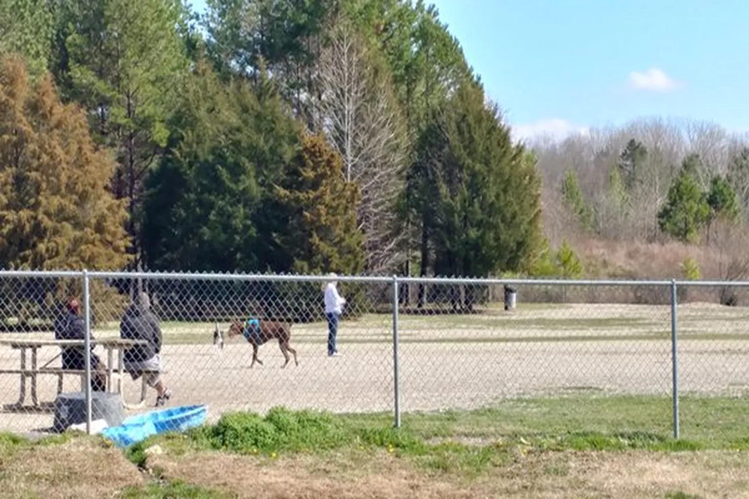 Shuffletown Dog Park in Charlotte, North Carolina - Main Image