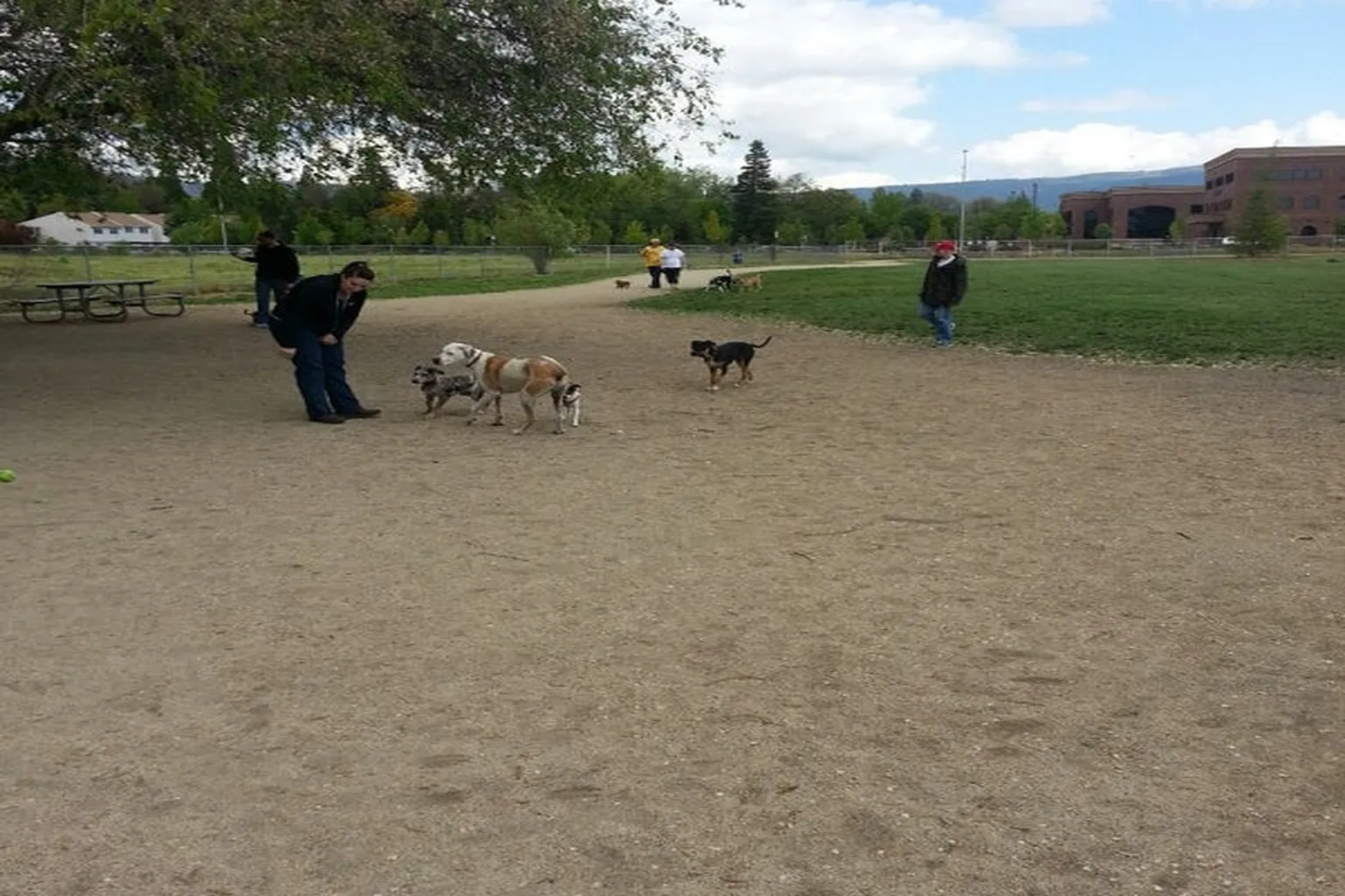 Bear Creek Park Dog Park in Medford, Oregon - Main Image