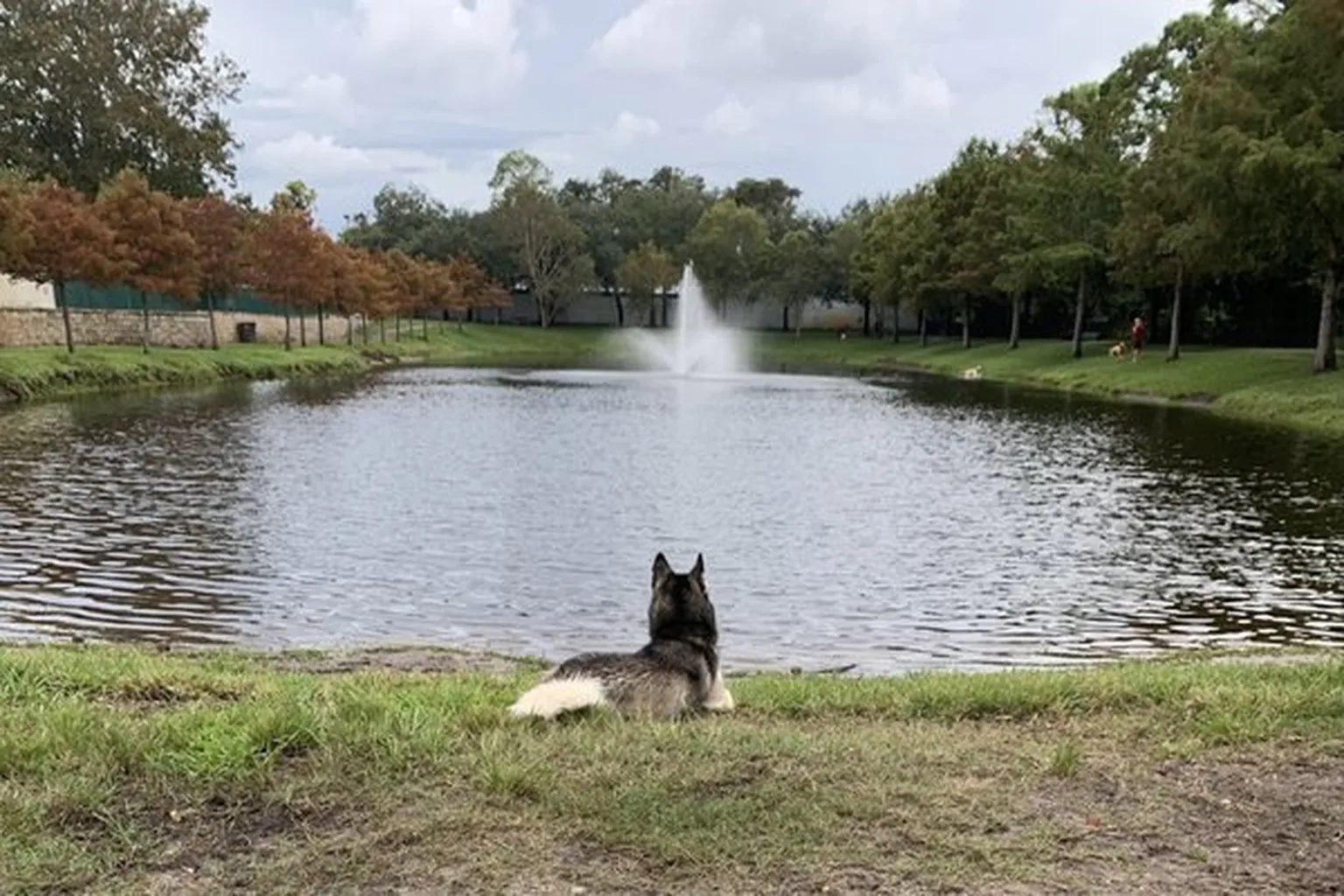 Hopkins Creek Dog Park in Atlantic Beach, Florida