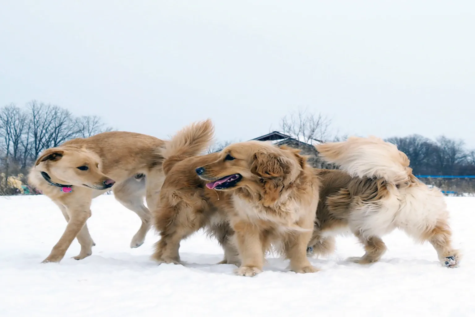 Paw Run Recreation Area in Webster Township, Michigan
