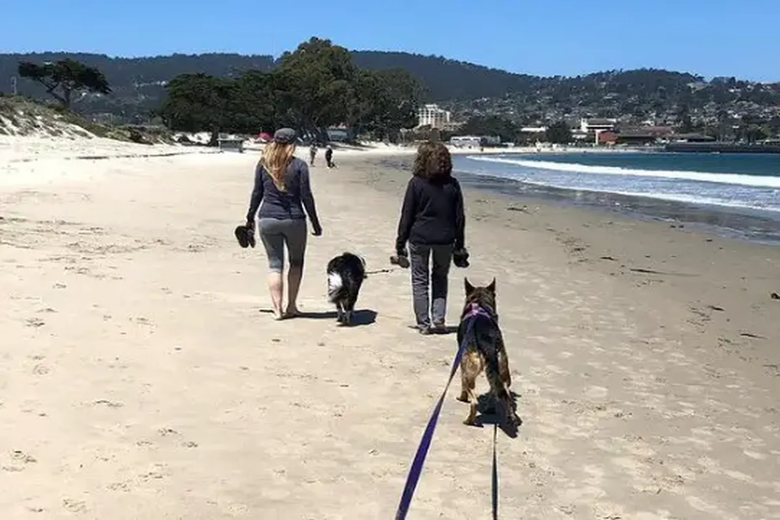 Monterey State Beach in Monterey, California