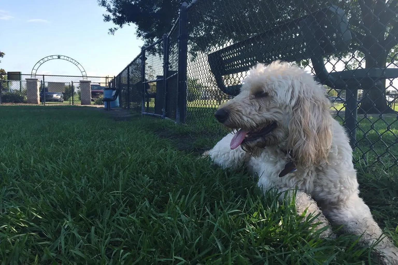 Diogi Park (At Loyce E. Harpe Park) in Lakeland, Florida