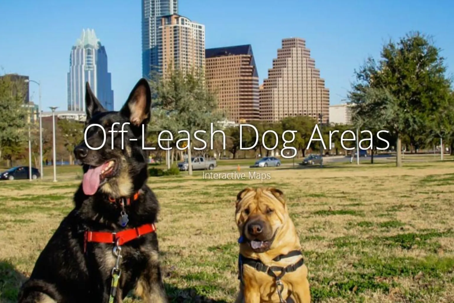 Emma Long Metro Park Off-Leash Area in Austin, Texas