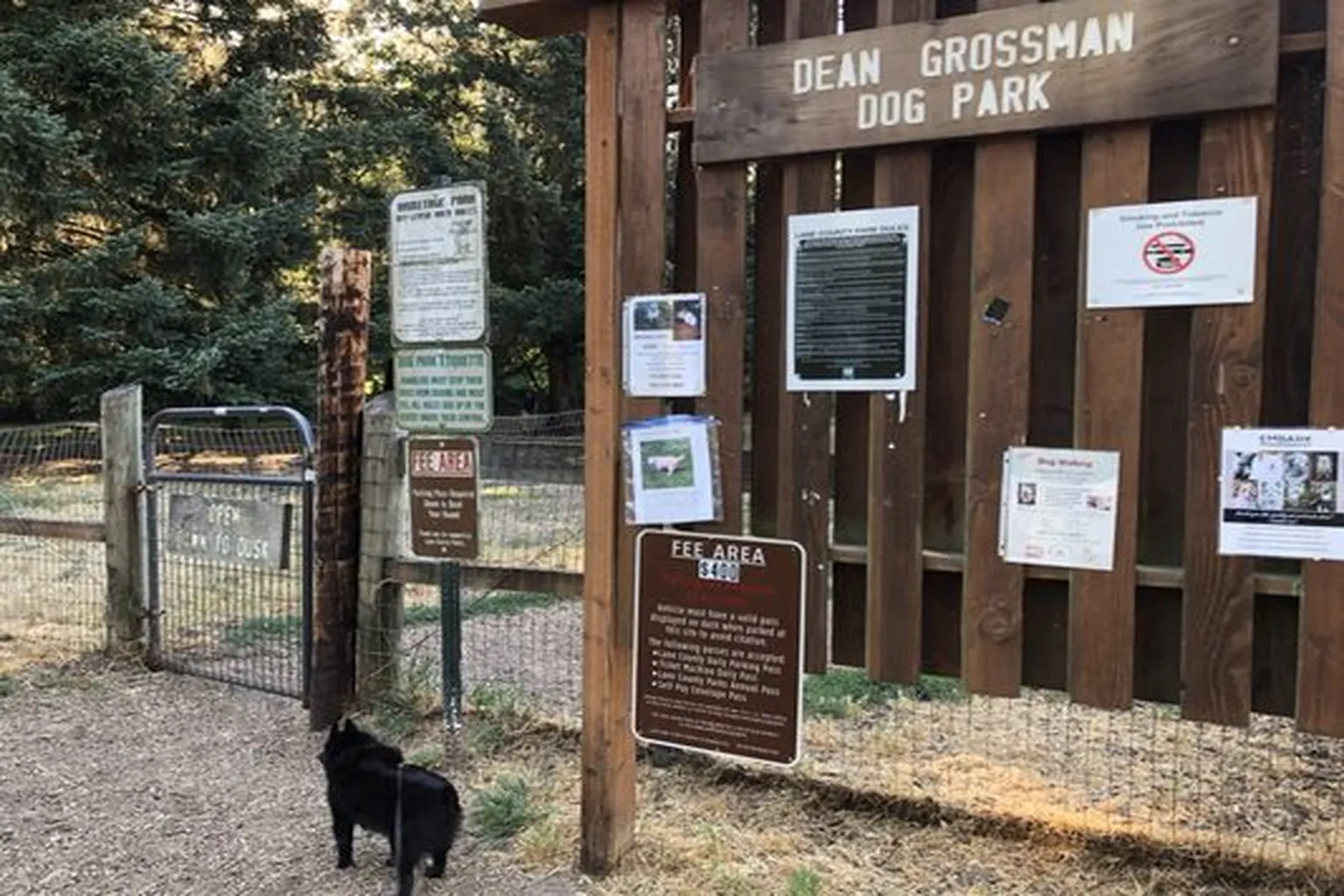 Armitage Dog Park in Eugene, Oregon