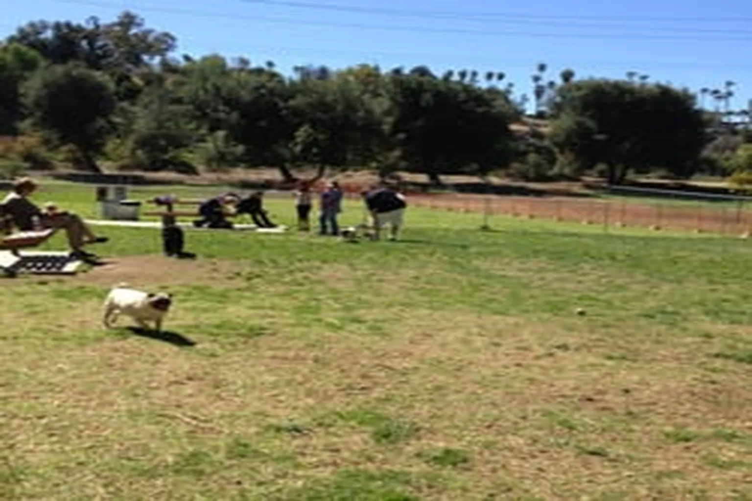 Redlands Dog Park (At Ford Park) in Redlands, California - Main Image