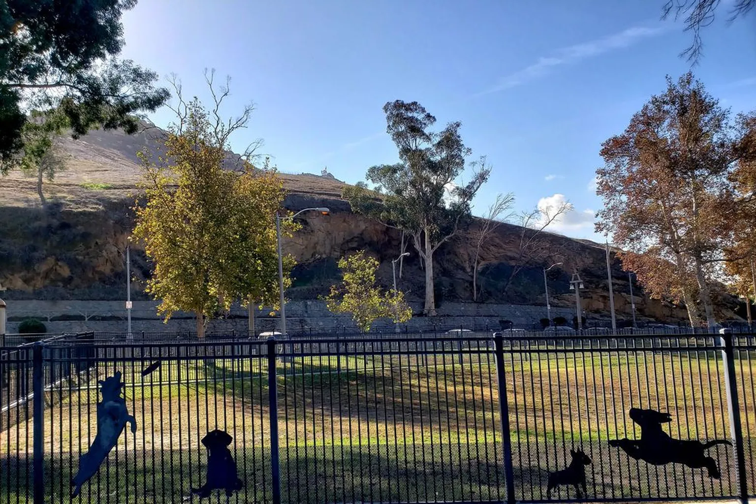 Carlson Dog Park in Riverside, California