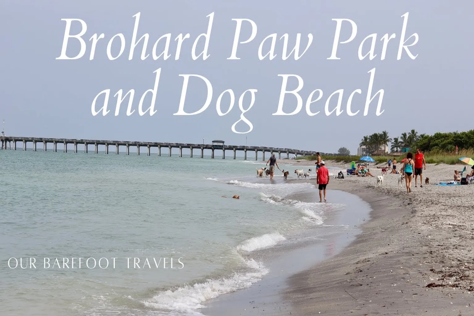 Paw Park (At Brohard Dog Beach) in Venice, Florida - Main Image
