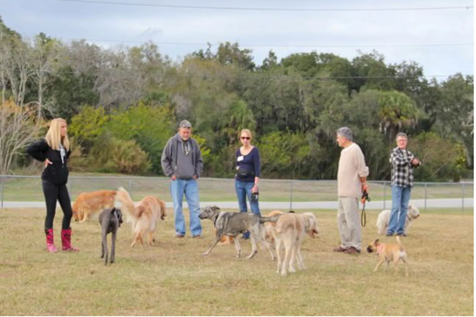 Paw Park North (At 17Th Street Park) in Sarasota, Florida