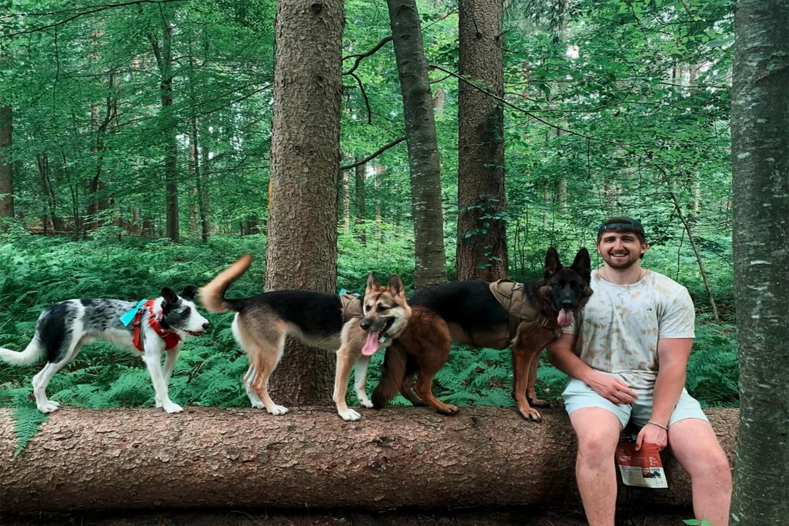 James L. Goodwin State Forest in Chaplin, Connecticut