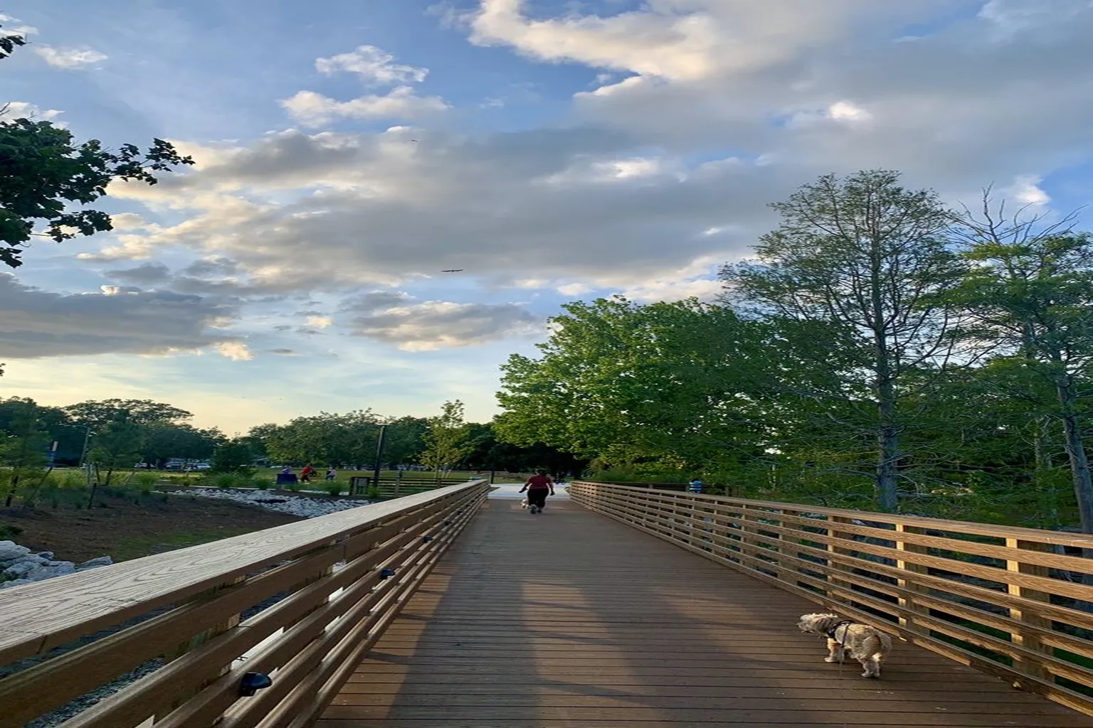 Doggie Days Dog Park (At Crest Lake Park) in Clearwater, Florida
