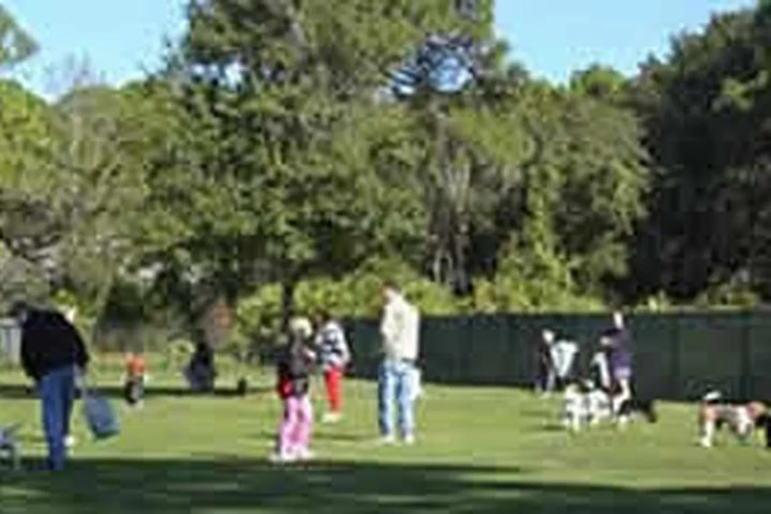 Anderson Park Paw Playground in Tarpon Springs, Florida