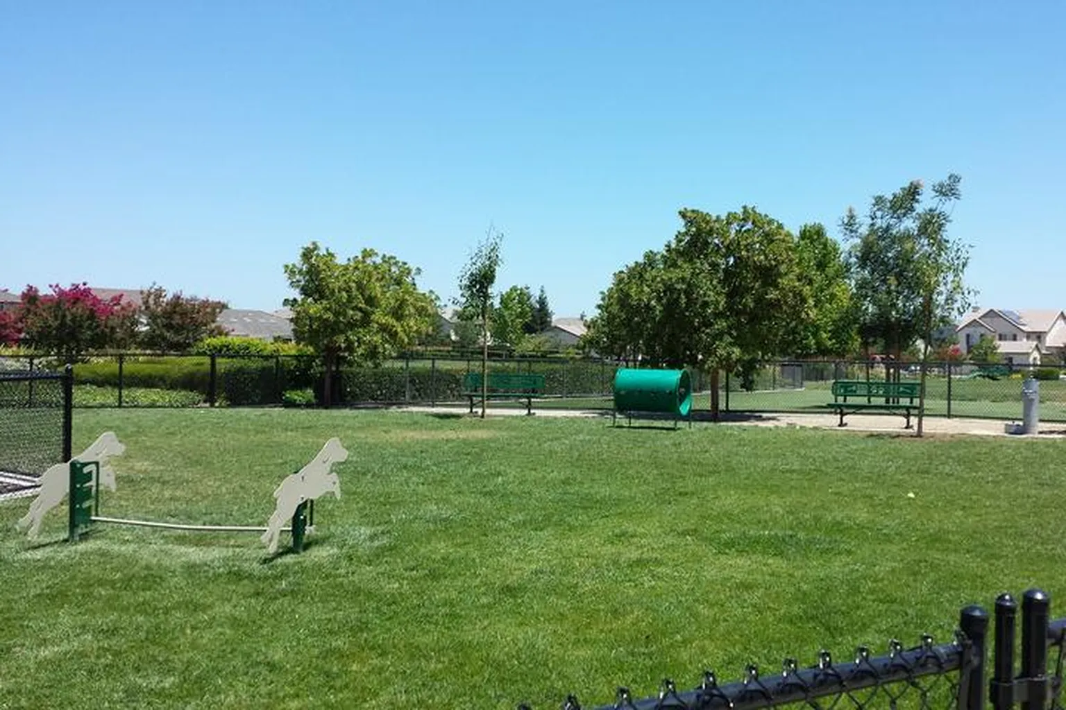 King Dog Park in Brentwood, California