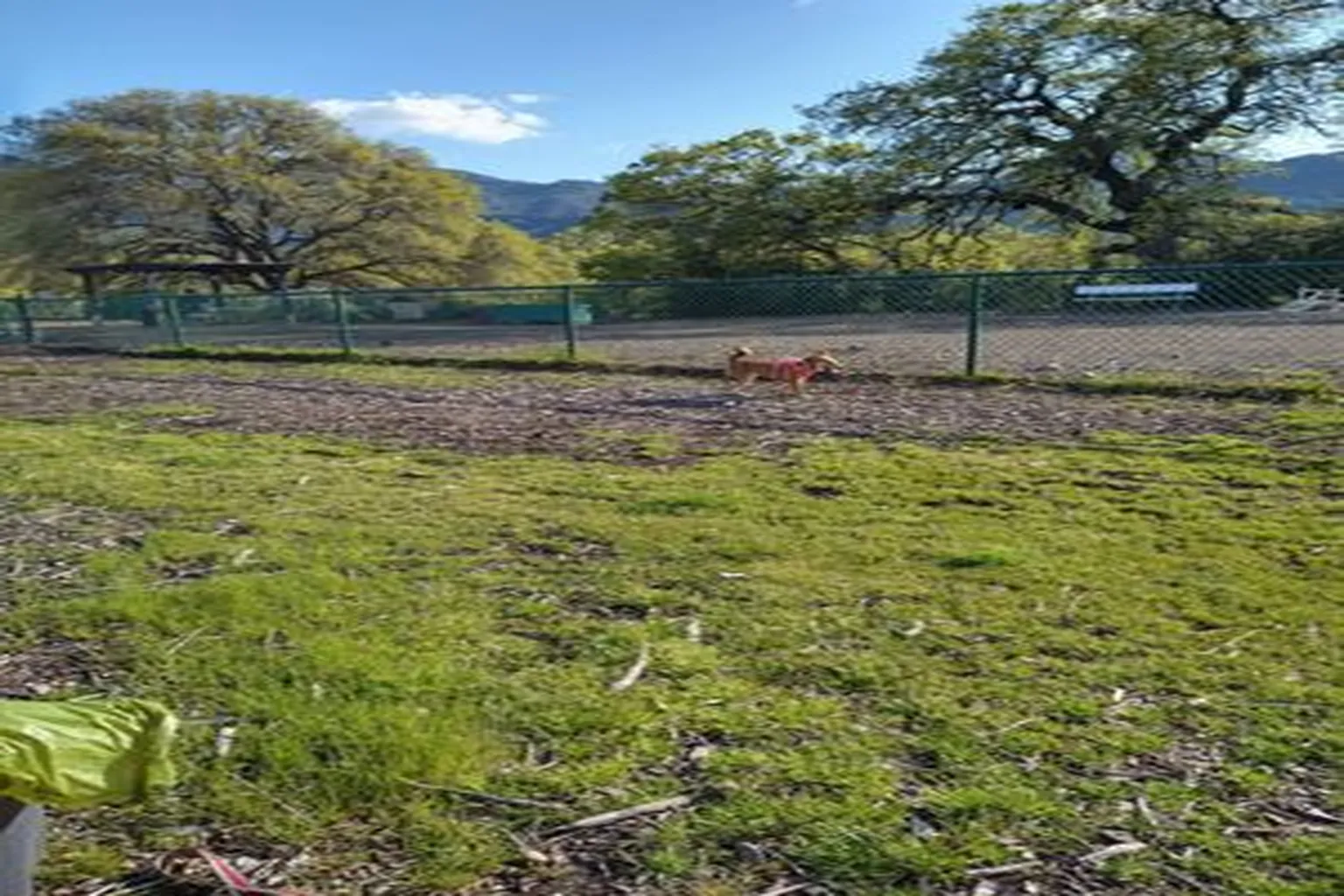 Clayton Dog Park in Clayton, California