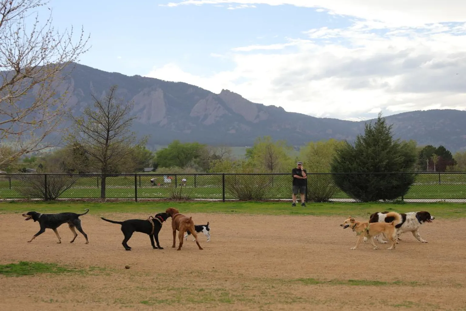 East Boulder Dog Park in Boulder, Colorado - Main Image