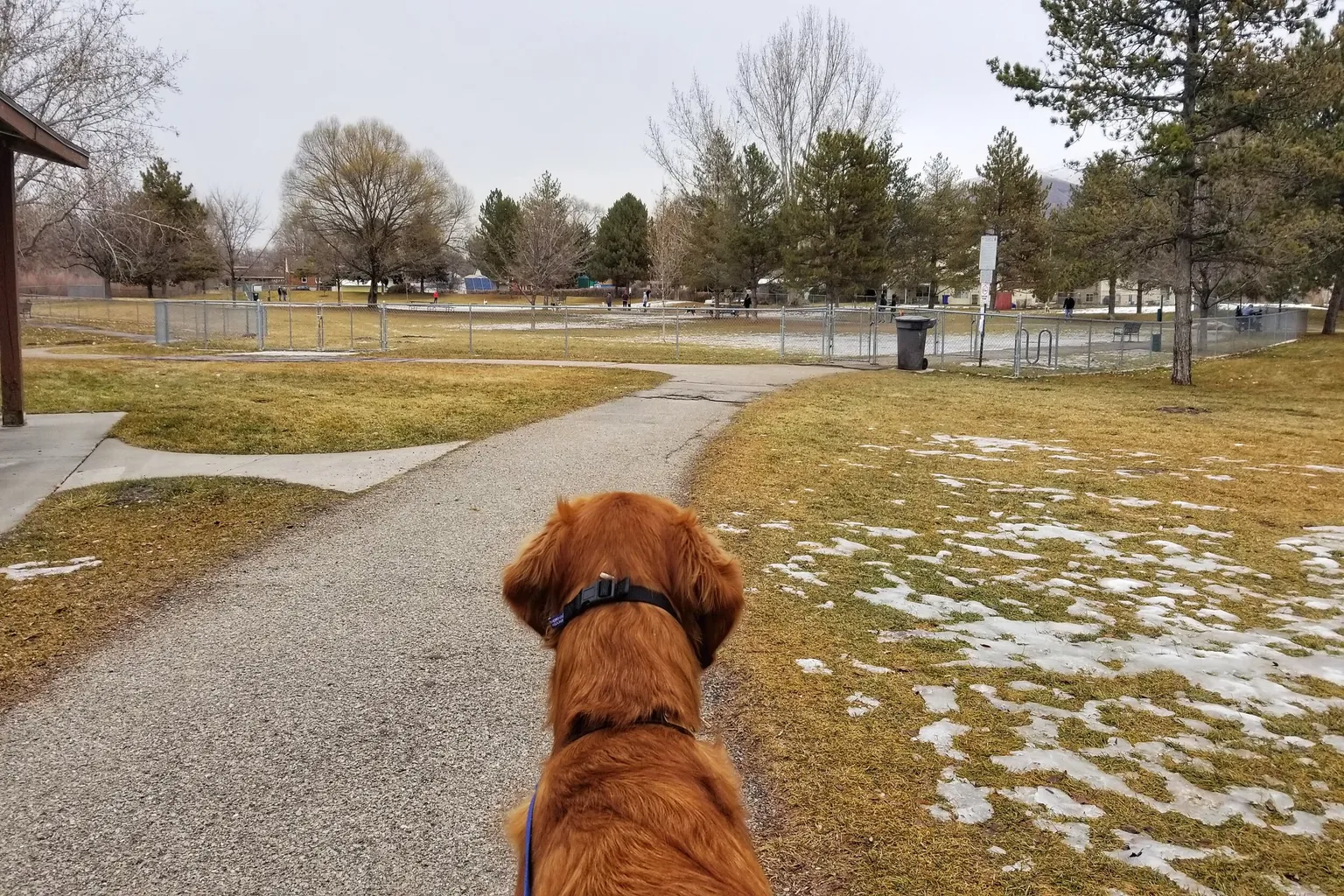 Atherton Dog Park in Salt Lake City, Utah