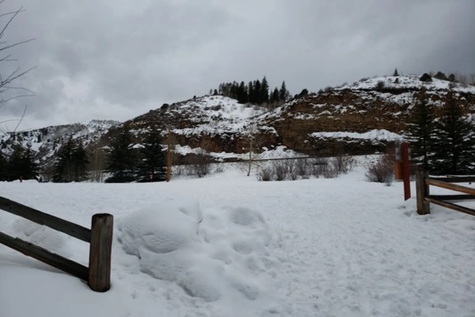 Stephens Park Off Leash Dog Area in Vail, Colorado - Main Image