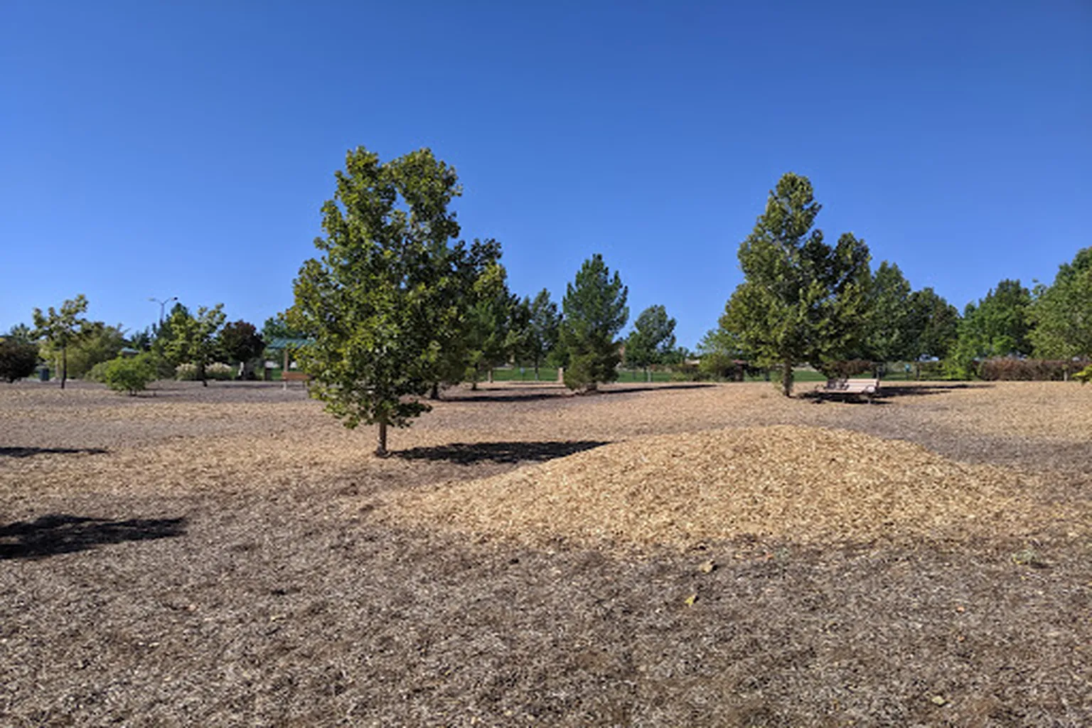 Westgate Community Dog Park in Albuquerque, New Mexico