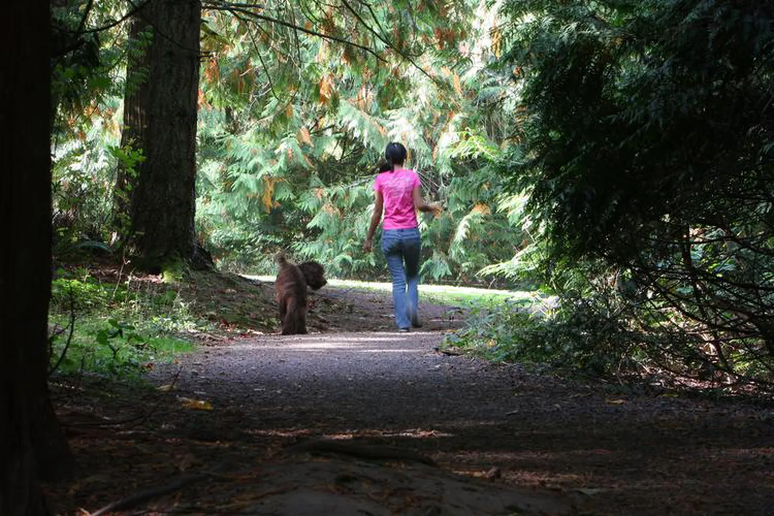 Gabriel Park And Off-Leash Area in Portland, Oregon