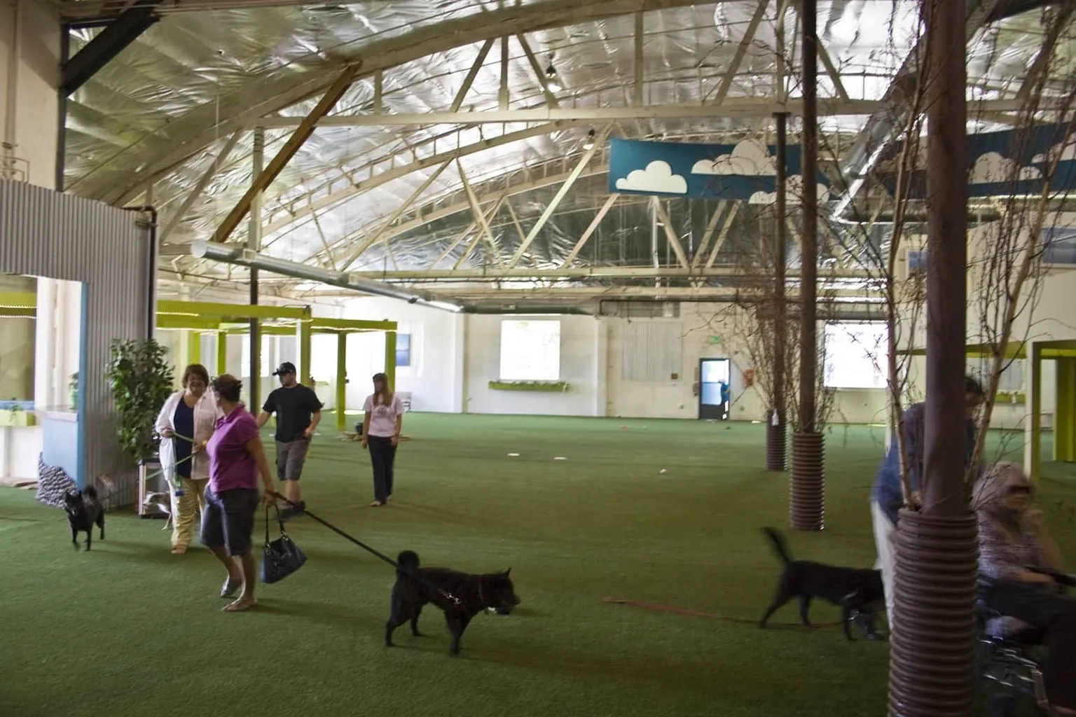 Fido's Indoor Dog Park & Pool in Portland, Oregon - Main Image