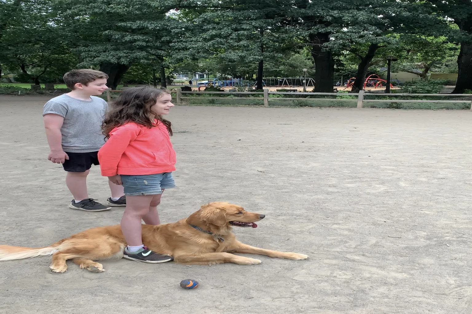 Irving Park Off Leash Dog Area in Portland, Oregon