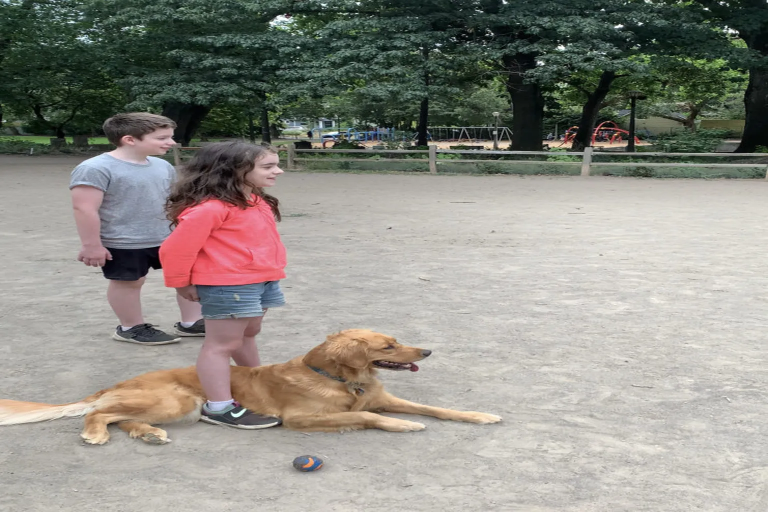 Sewallcrest Park Off Leash Dog Area in Portland, Oregon - Main Image