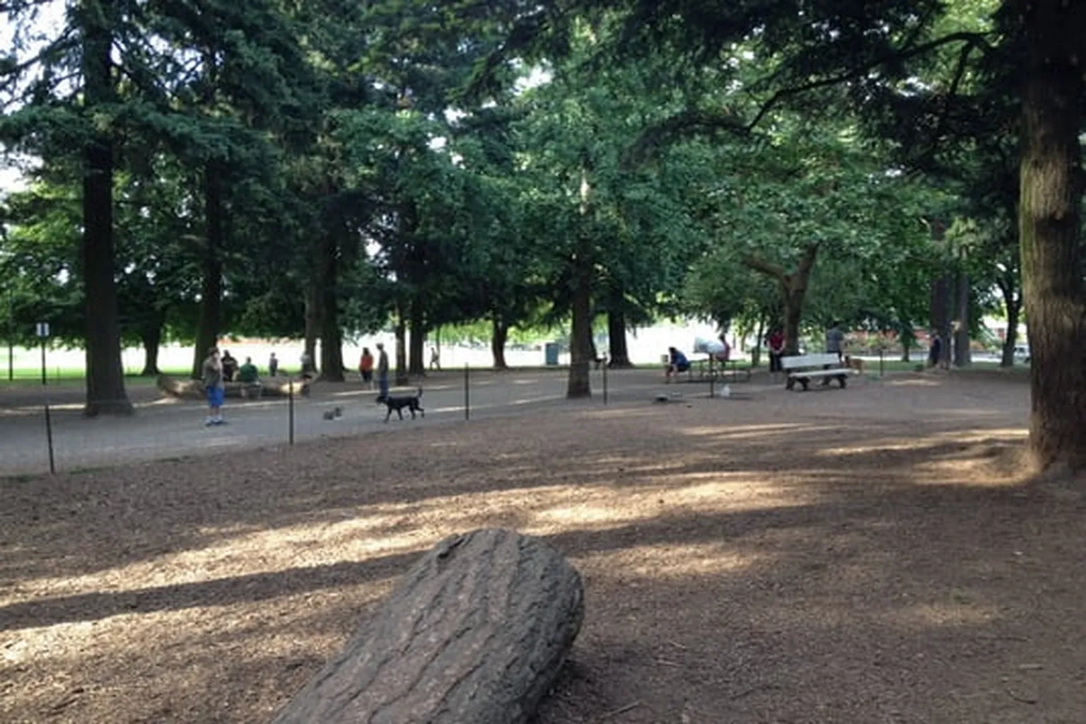 Normandale Dog Park in Portland, Oregon