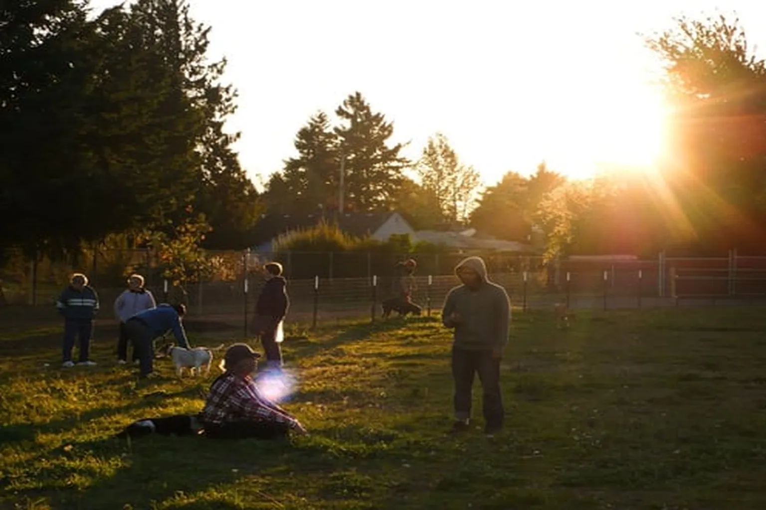 Sacajawea Dog Park in Portland, Oregon
