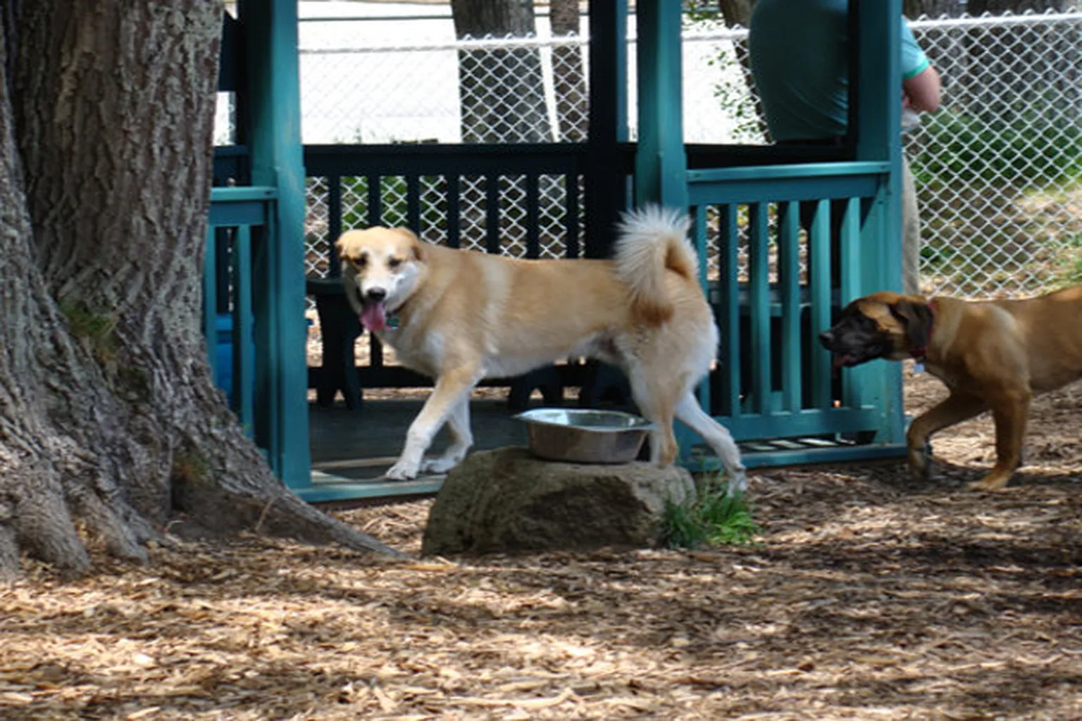 Kennebunk Dog Park in West Kennebunk, Maine