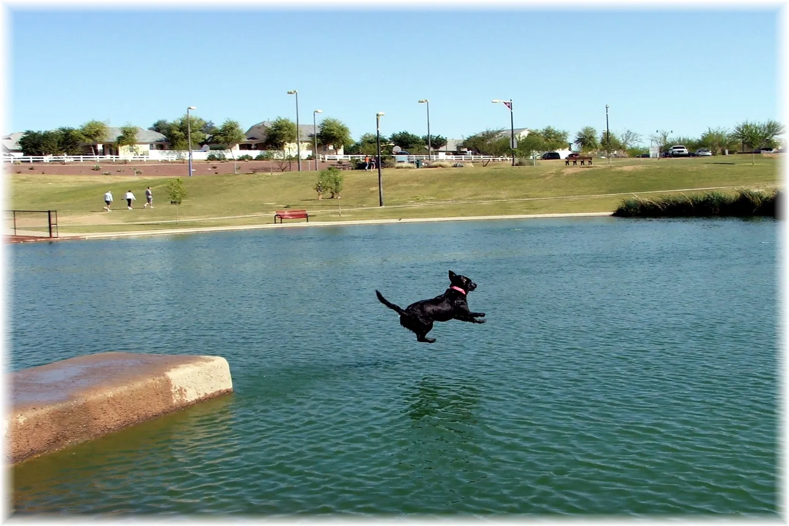 Cosmo Dog Park in Gilbert, Arizona