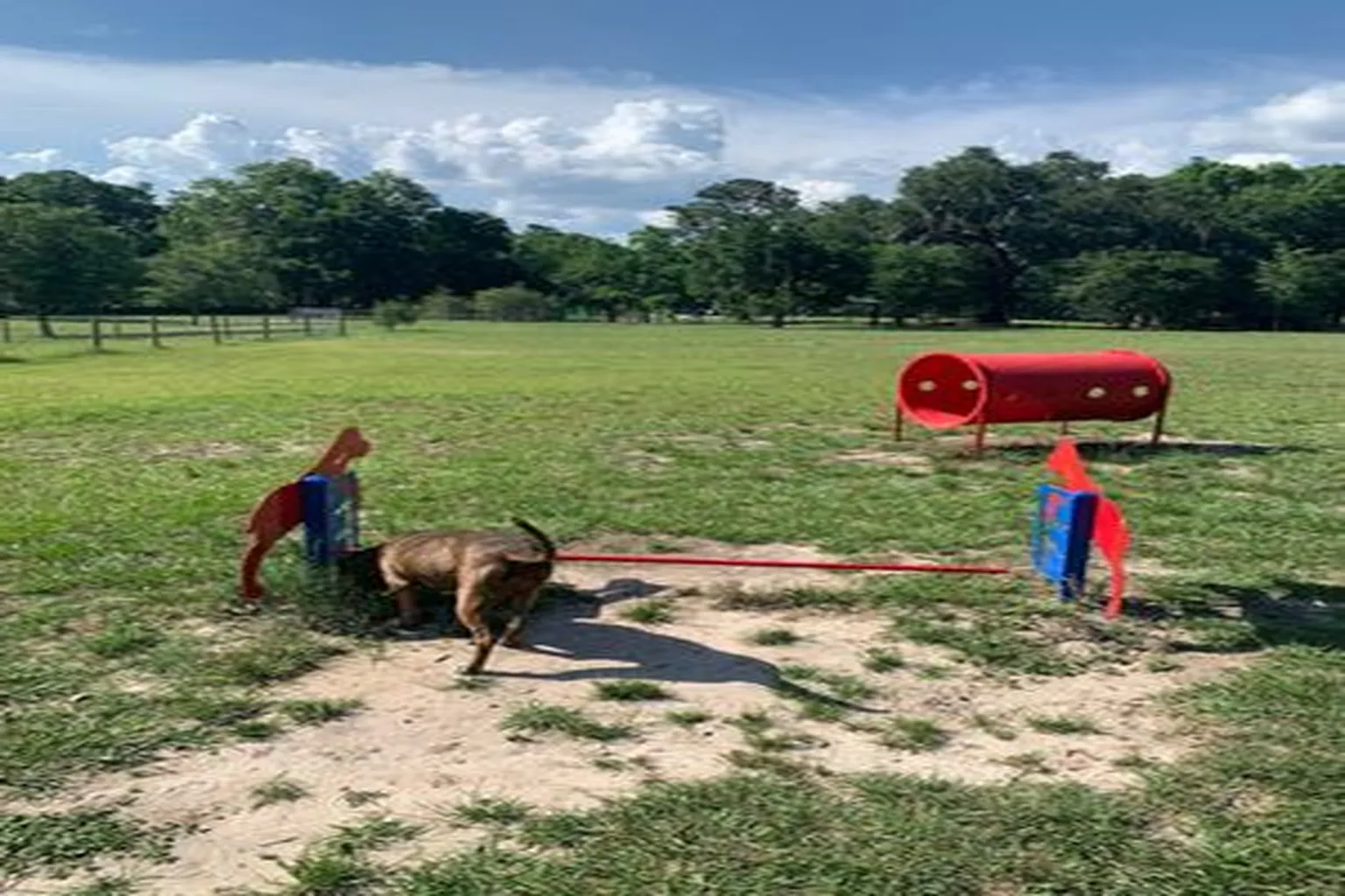Squirrel Ridge Dog Park in Gainesville, Florida