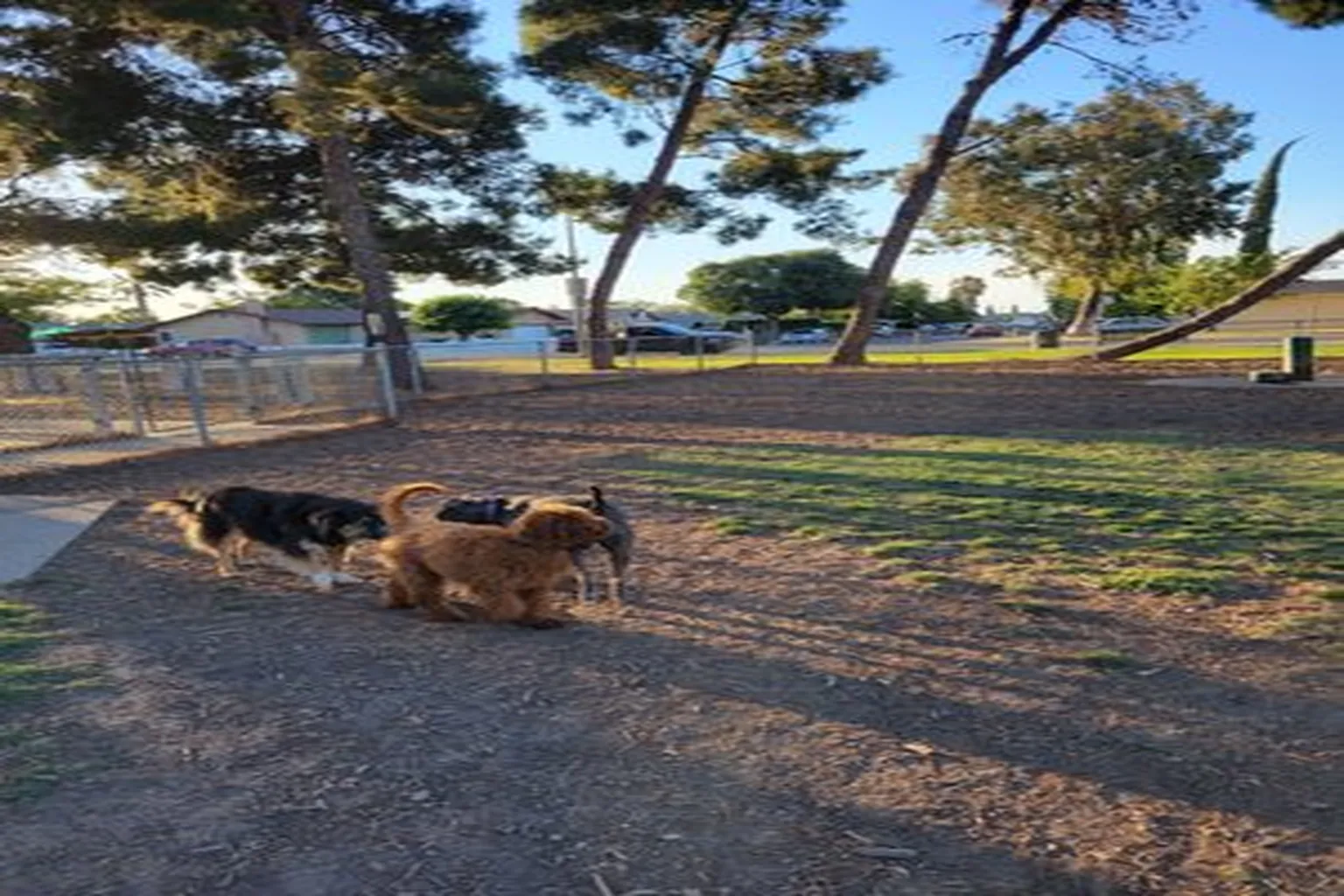 Ei Pescadero Dog Park (Aka Cora K-9 Facility) in Tracy, California