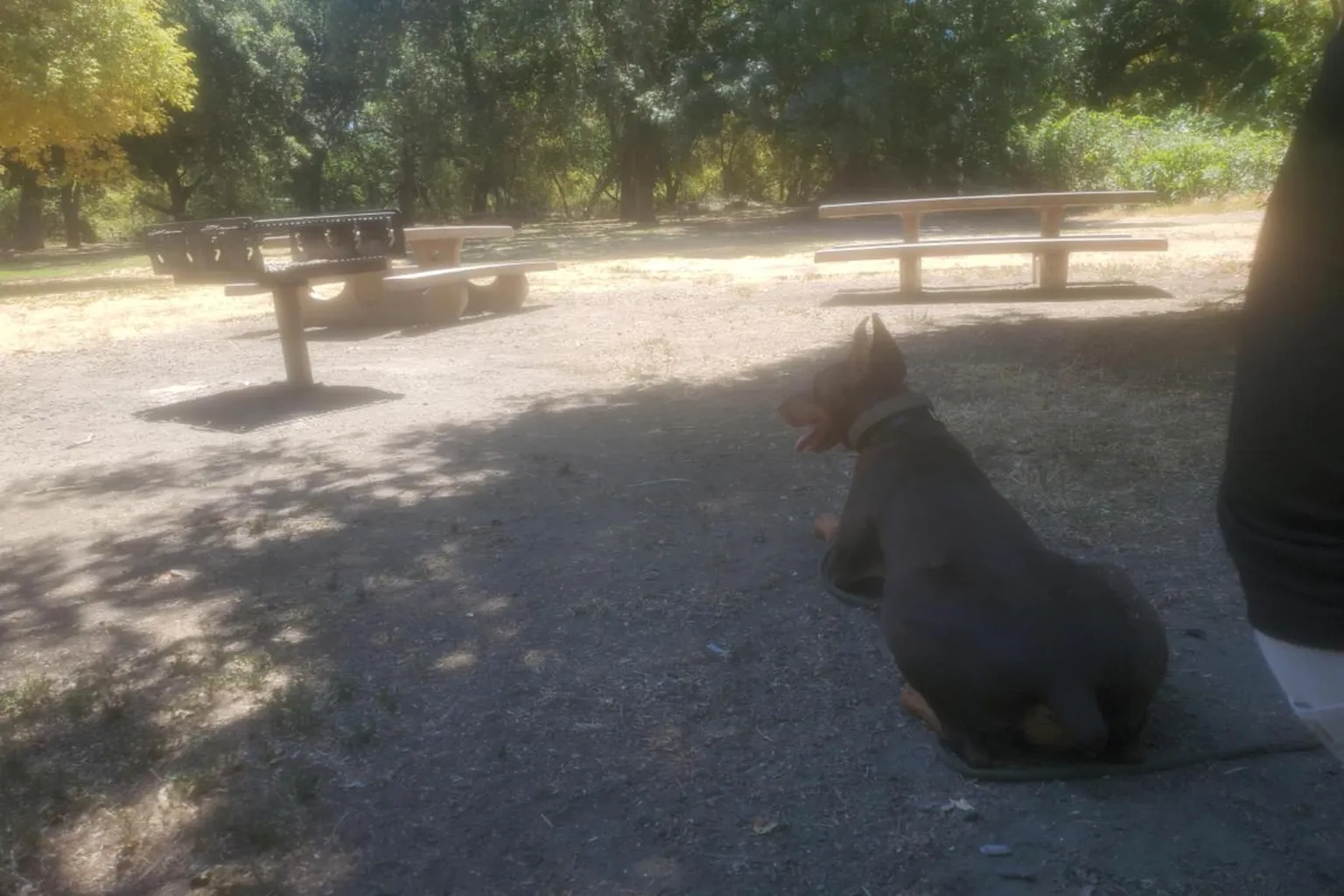 Caswell Memorial State Park in Ripon, California