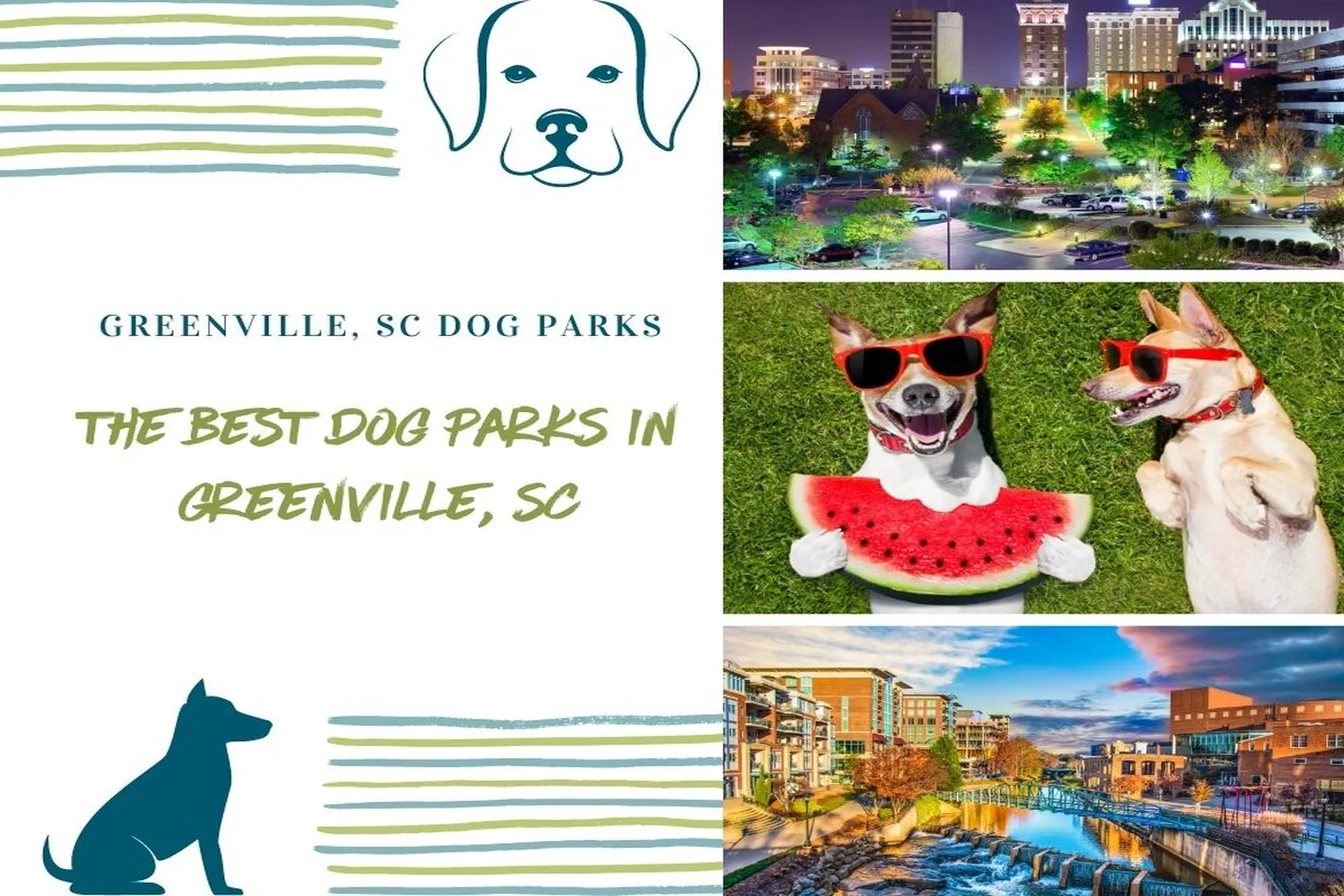 Canine Corner Cleveland Dog Park in Greenville, South Carolina