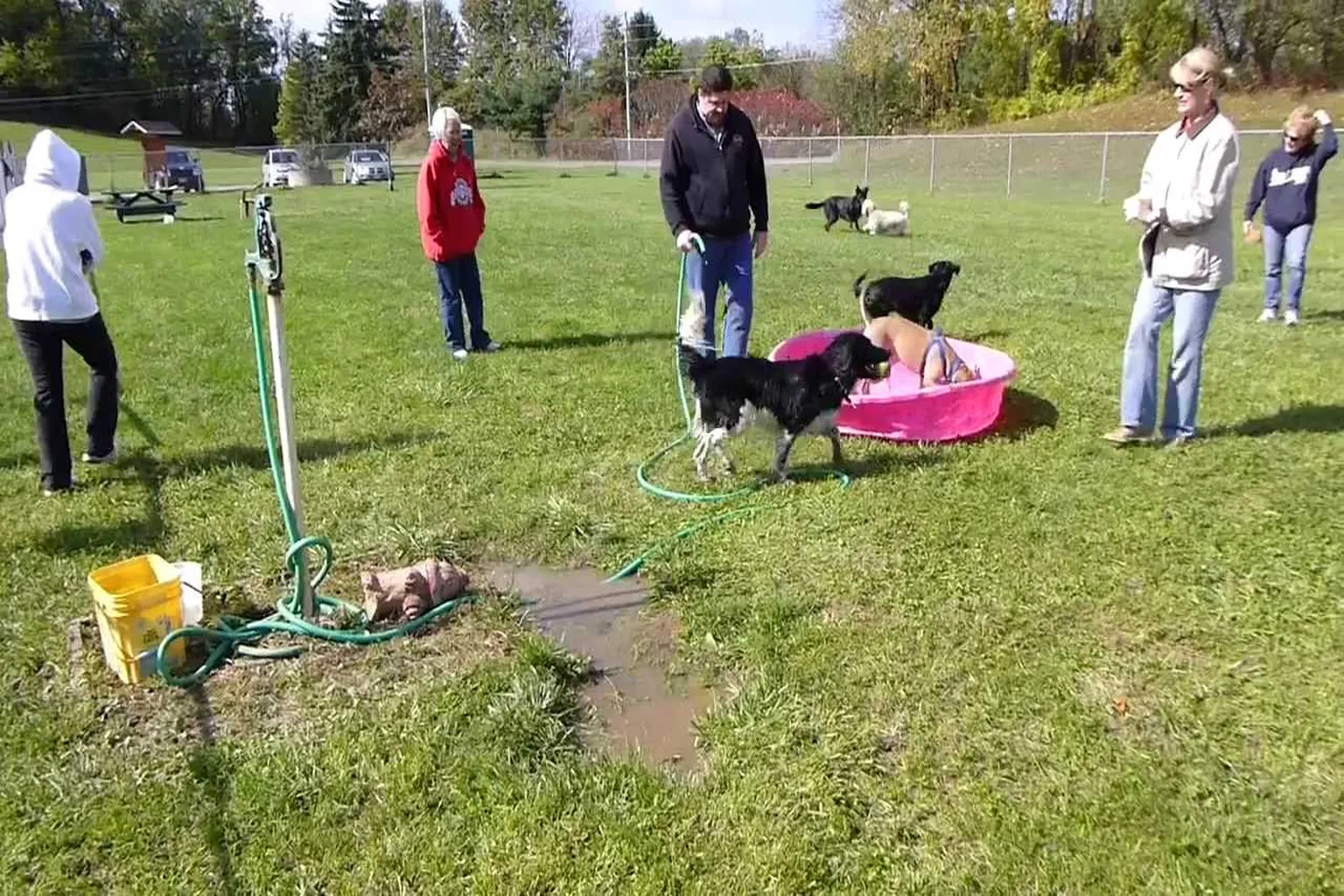 Canal Fulton Dog Park in Canal Fulton, Ohio