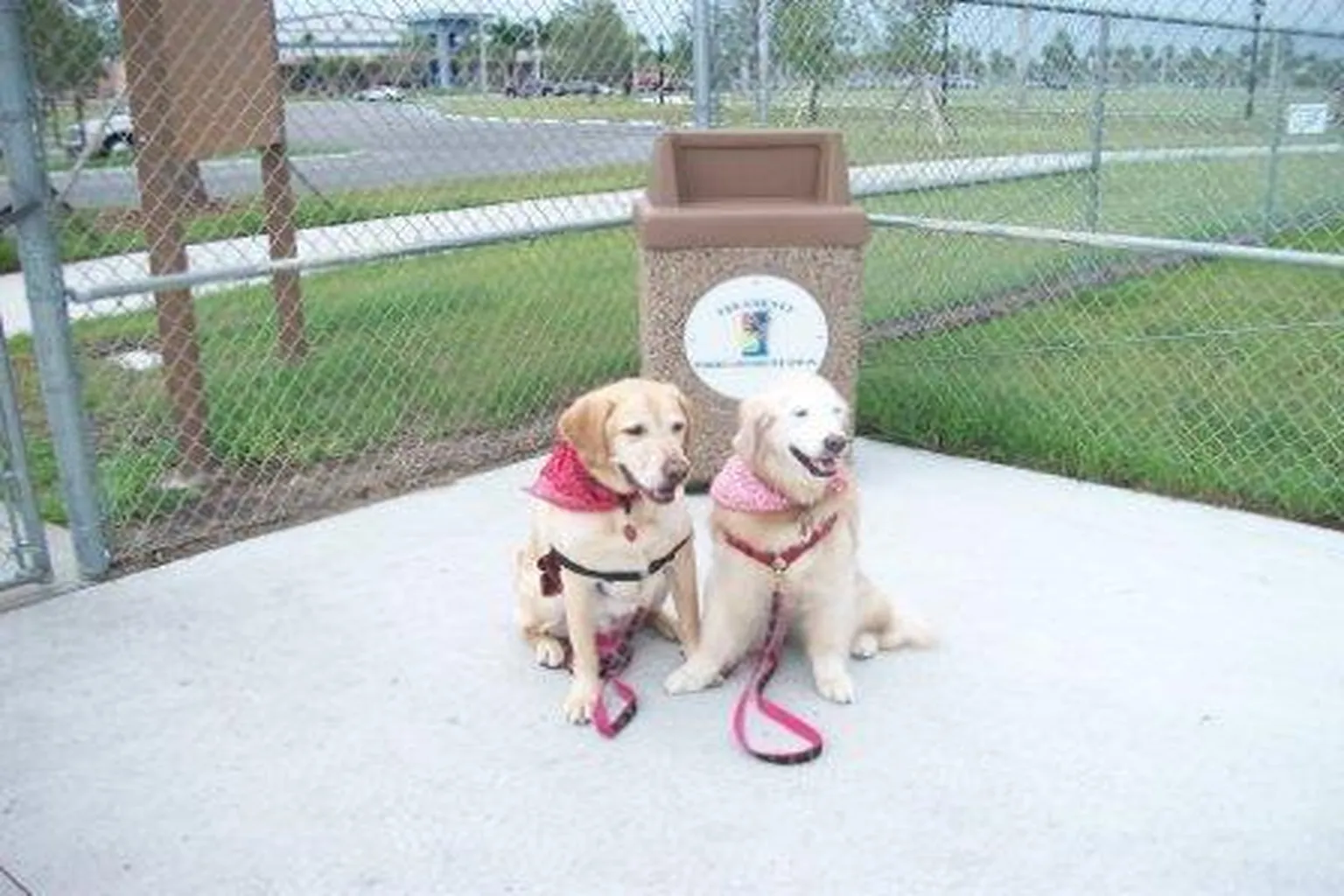 K-9 Corral Dog Park (At Estero Park) in Estero, Florida - Main Image