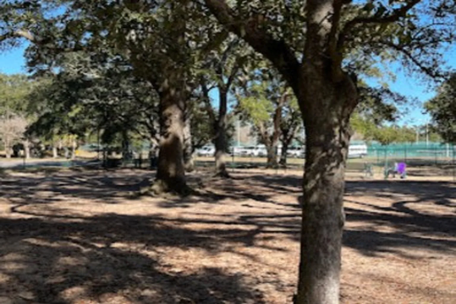 Scott Complex Dog Park in Pensacola, Florida