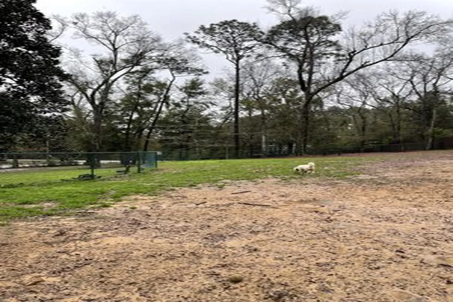 Fairhope Dog Park in Fairhope, Alabama - Main Image