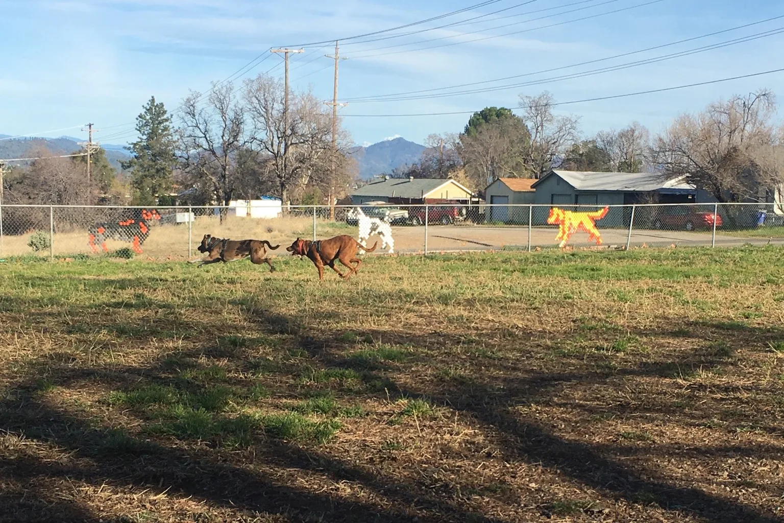 Benton Airport Dog Park - Redding in Redding, California - Main Image