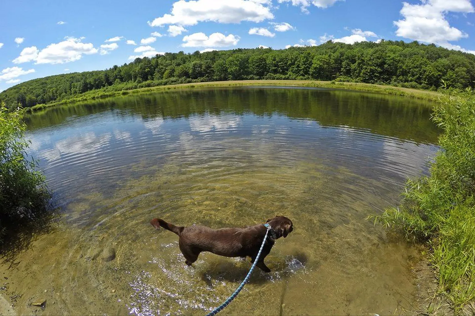 Sunnybrook State Park in Torrington, Connecticut