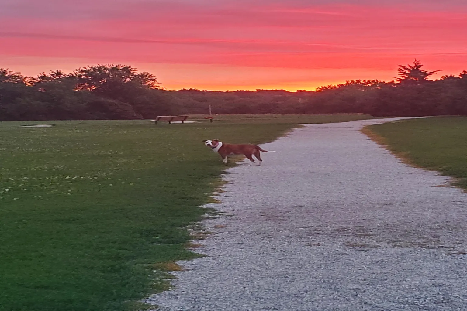Heritage Dog Park in Olathe, Kansas