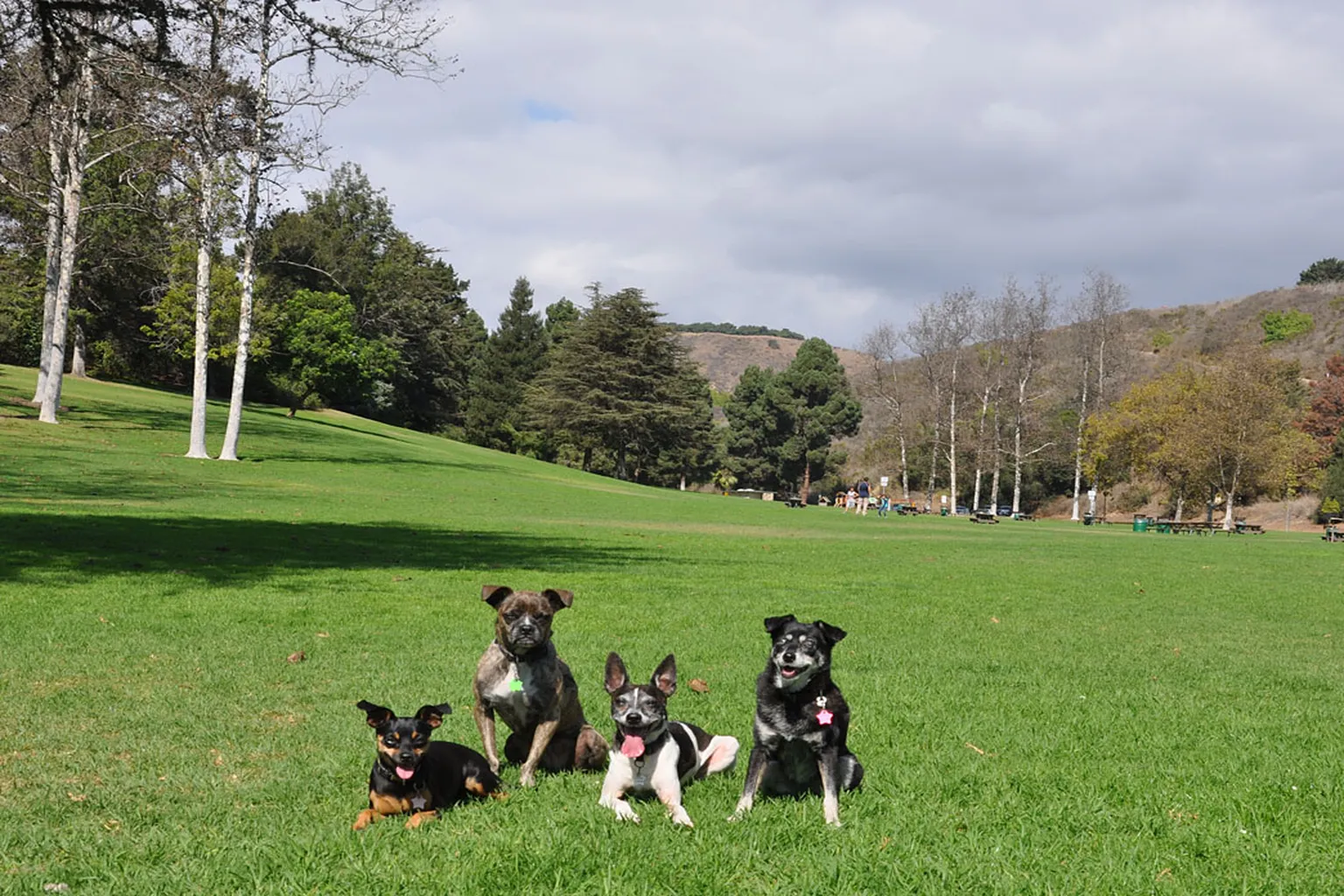 Arroyo Verde Dog Park in Ventura, California