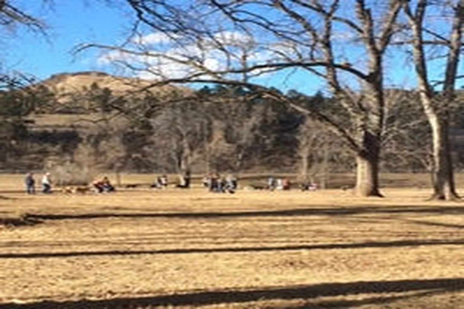 Wilderness Park Off Leash Dog Area in Rapid City, South Dakota - Main Image