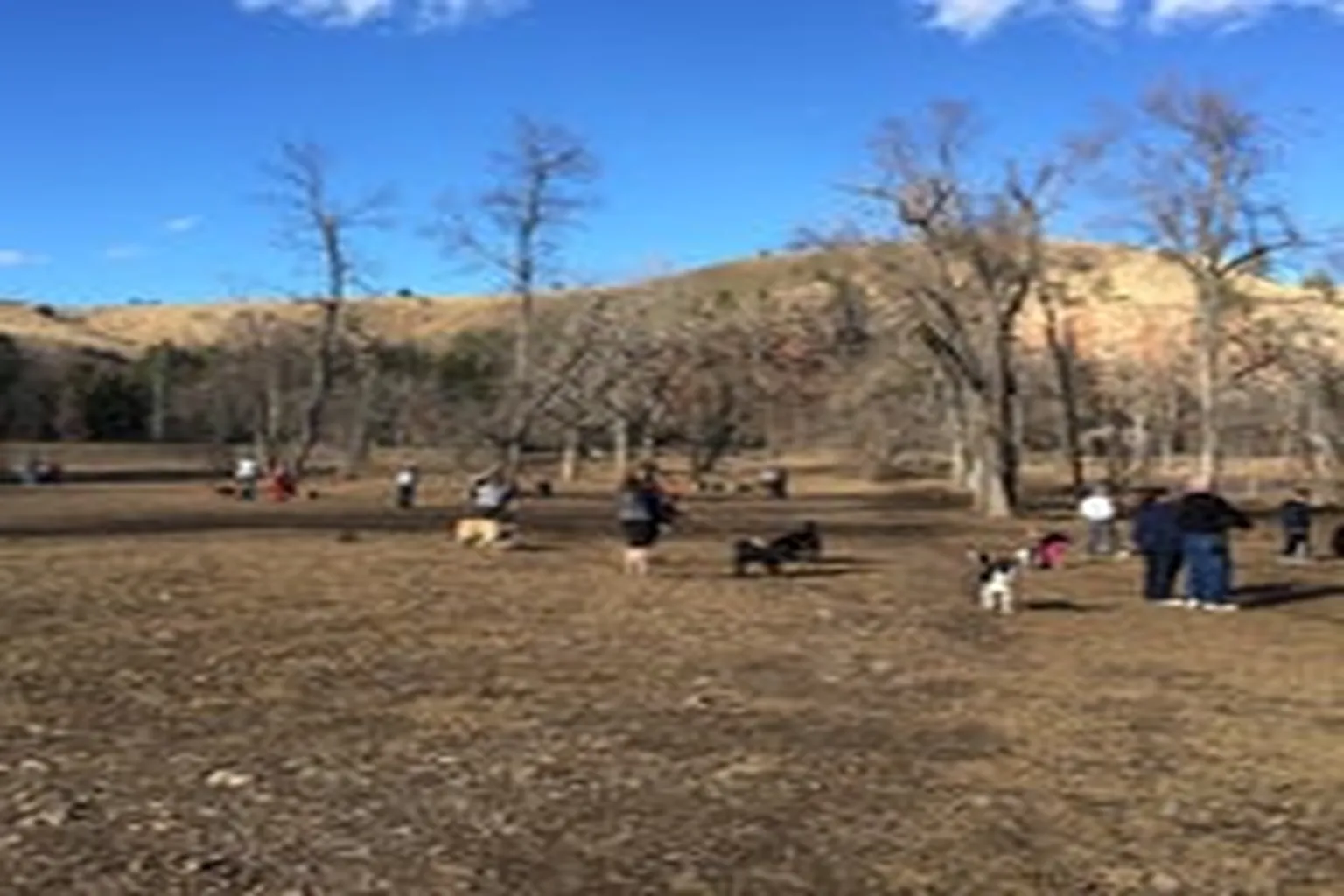 Braeburn Addition Off Leash Dog Area in Rapid City, South Dakota - Main Image