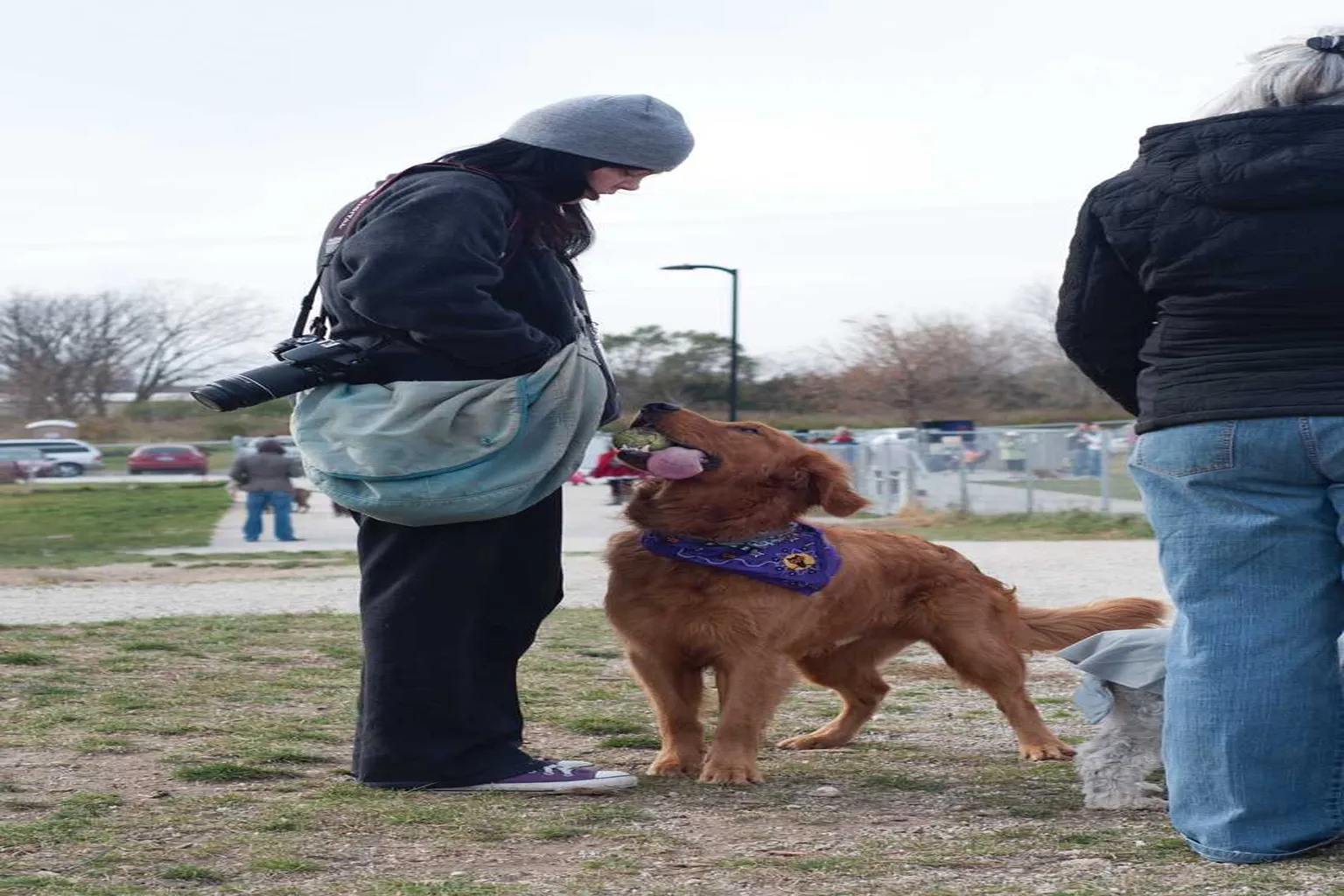 Ames Dog Park in Ames, Iowa - Main Image