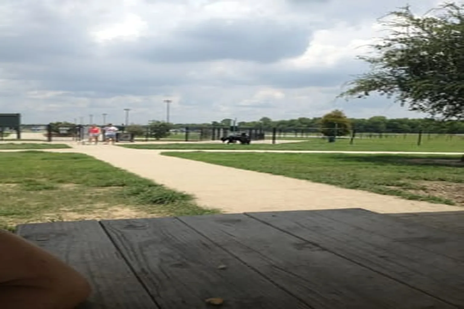 Burbank Dog Park in Baton Rouge, Louisiana