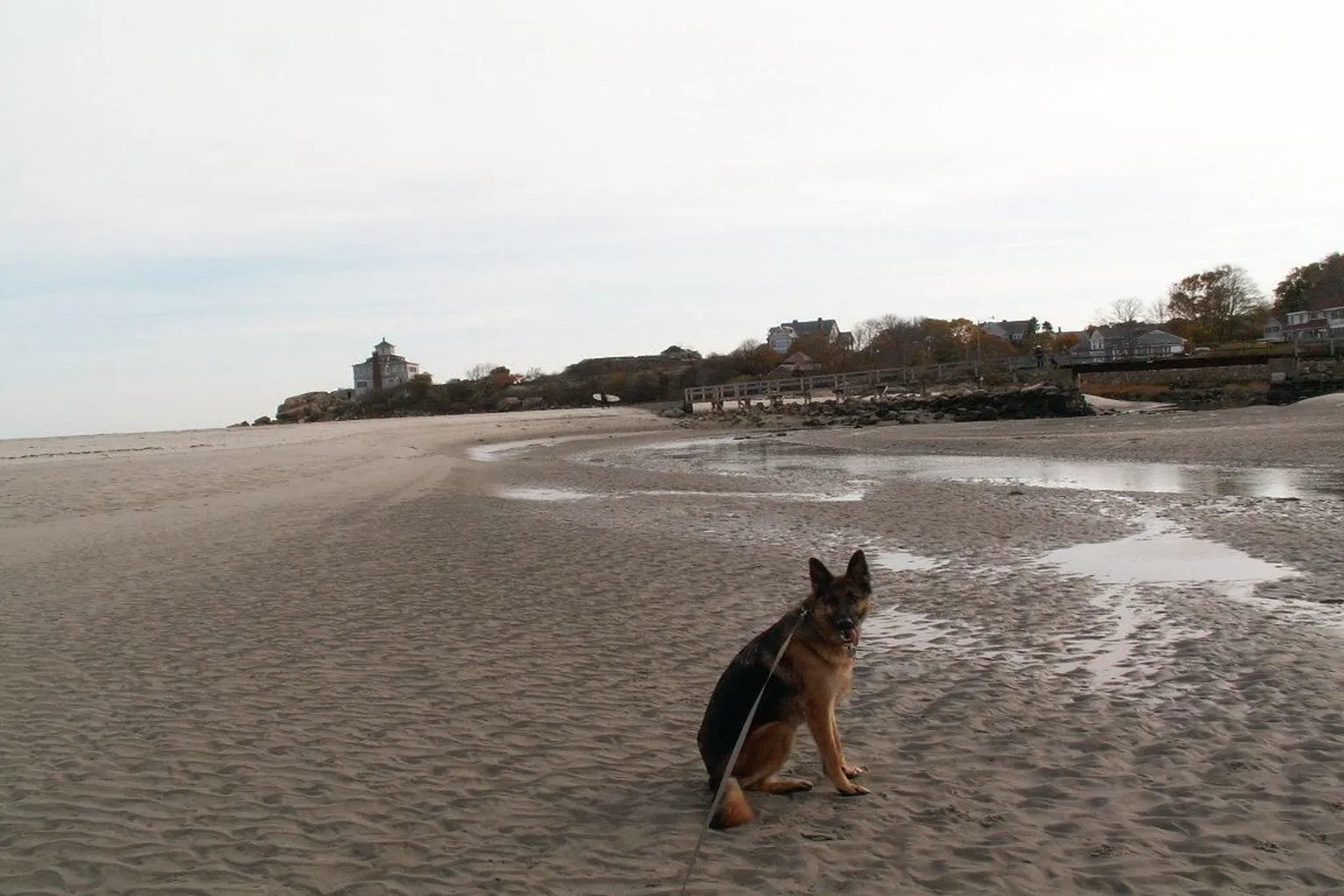 Good Harbor Beach in Gloucester, Massachusetts